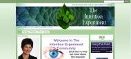 The Intention Experiment